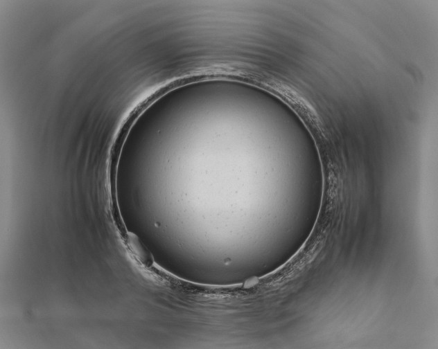 X0000113010792200909031313