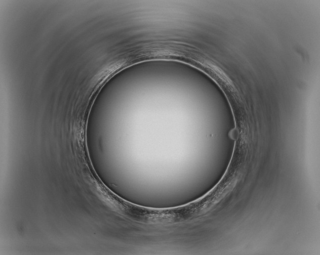 X0000113010793200909031313