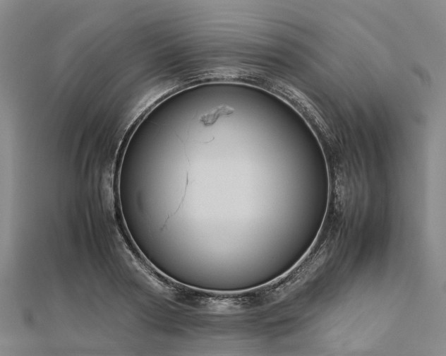 X0000113010794200909031313