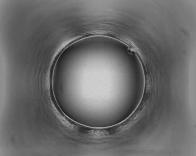 X0000113010795200909031313