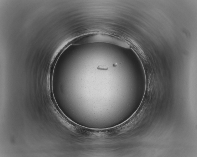 X0000113010796200909031313