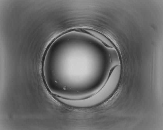 X0000113010797200909031313