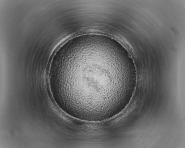 X0000113010798200909031313