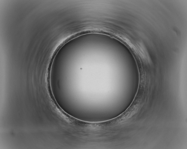 X0000113010799200909031313