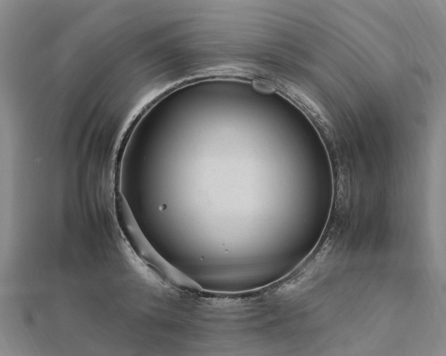 X0000113010800200909031313