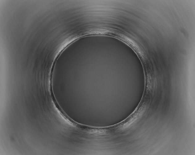 X0000113010802200909031313