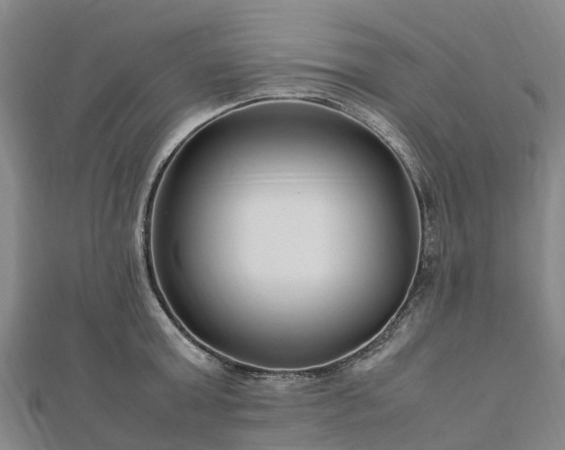 X0000113010803200909031313