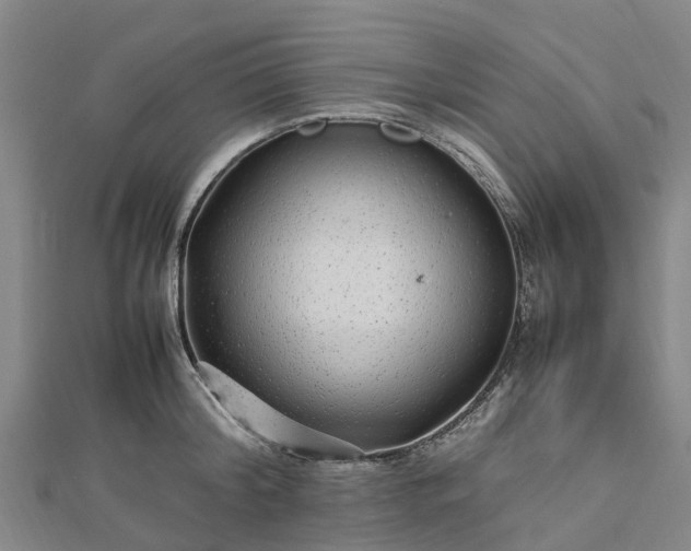 X0000113010804200909031313