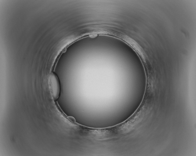 X0000113010805200909031313