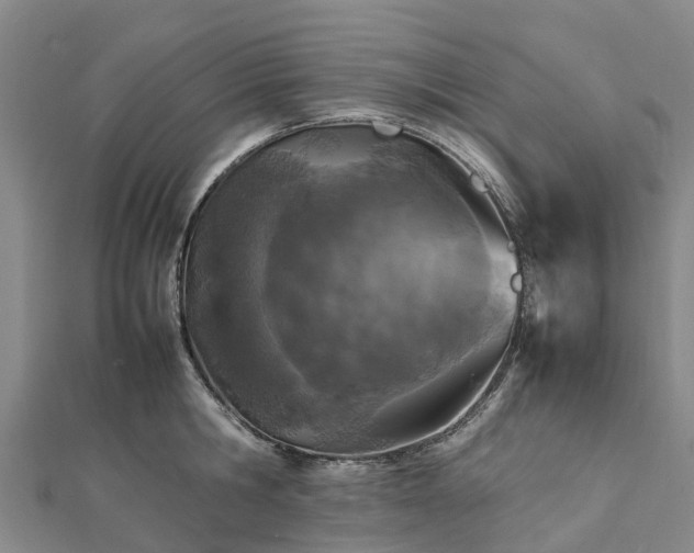 X0000113010806200909031313