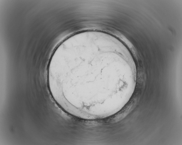 X0000113010807200909031313