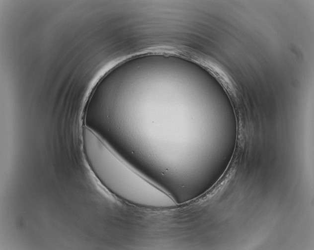 X0000113010808200909031313