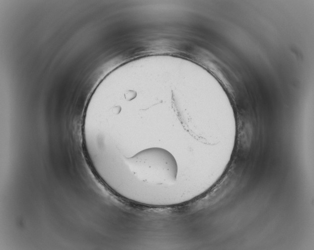 X0000113010810200909031312