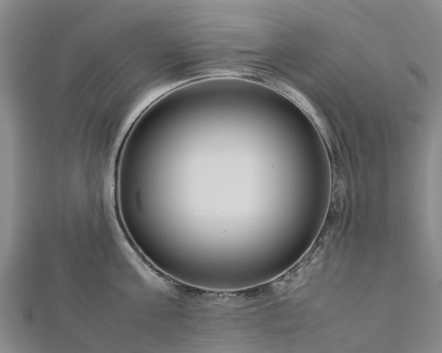 X0000113010811200909031312