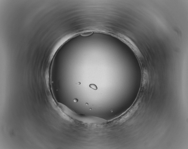 X0000113010812200909031312