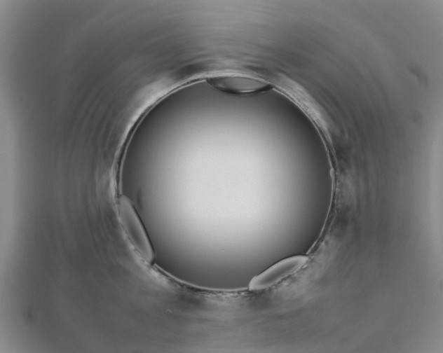 X0000113010813200909031312