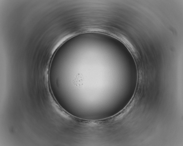 X0000113010814200909031312