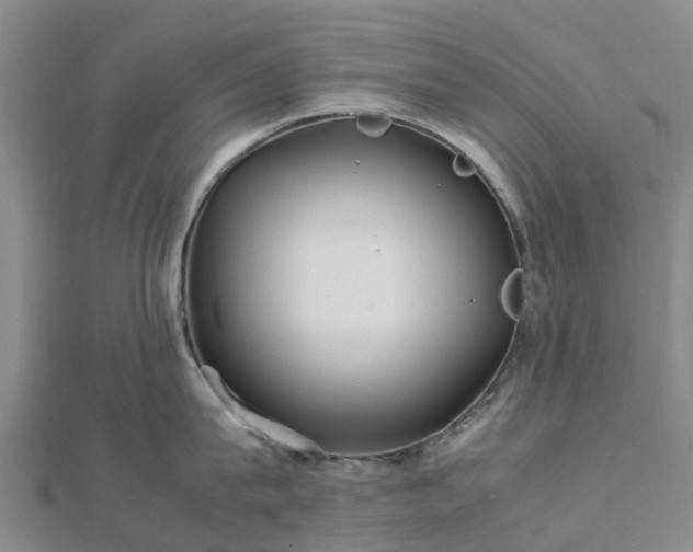 X0000113010815200909031312