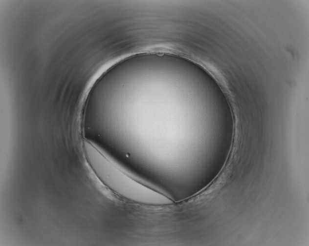 X0000113010816200909031312