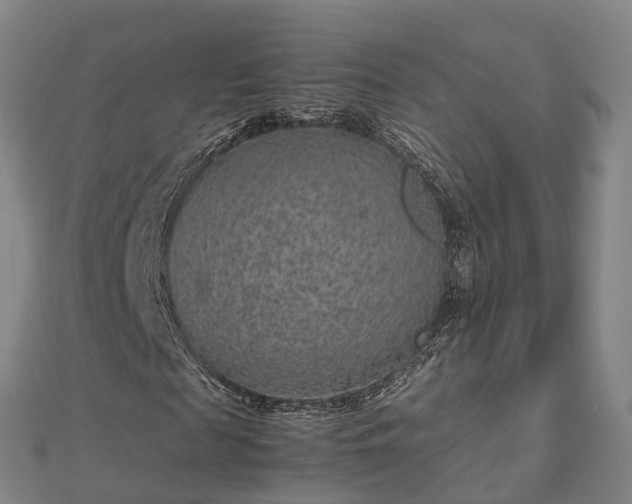 X0000113010817200909031312