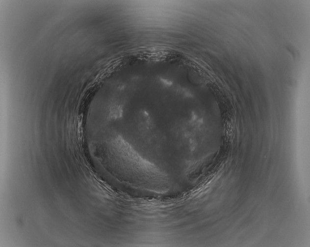 X0000113010818200909031312