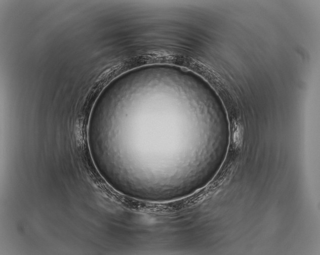 X0000113010819200909031312