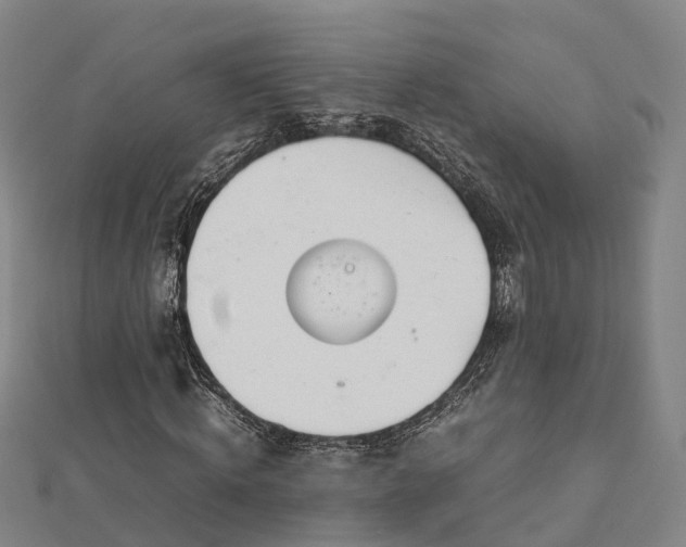 X0000113010820200909031312