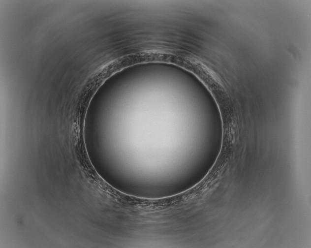 X0000113010821200909031312