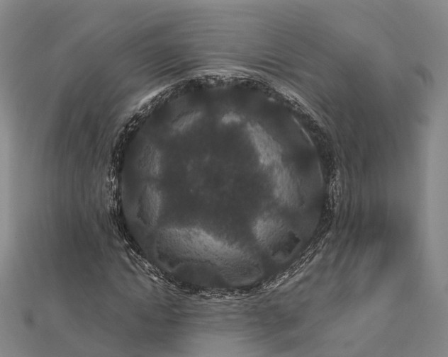 X0000113010822200909031312