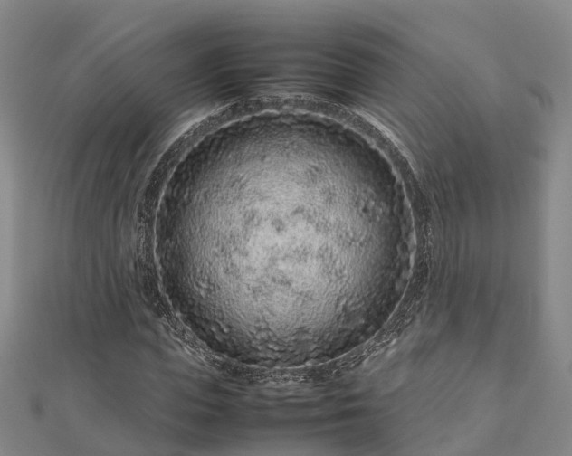 X0000113010823200909031312