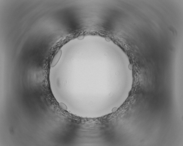 X0000113010824200909031312