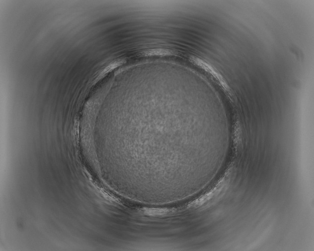 X0000113010825200909031312