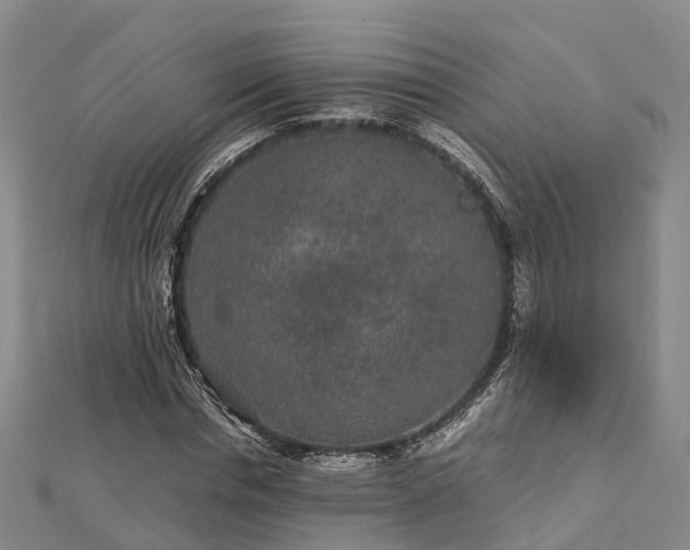 X0000113010826200909031312