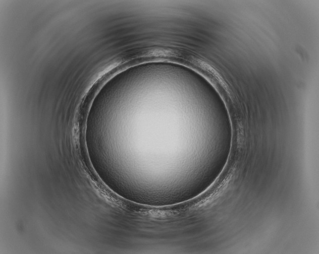 X0000113010827200909031312