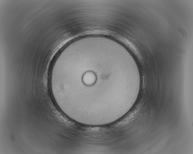 X0000113010828200909031312