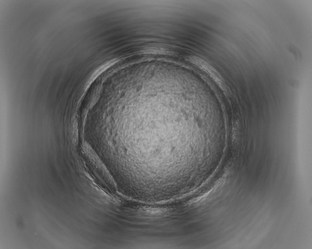 X0000113010829200909031312