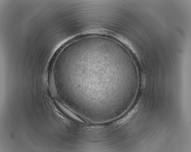 X0000113010830200909031312