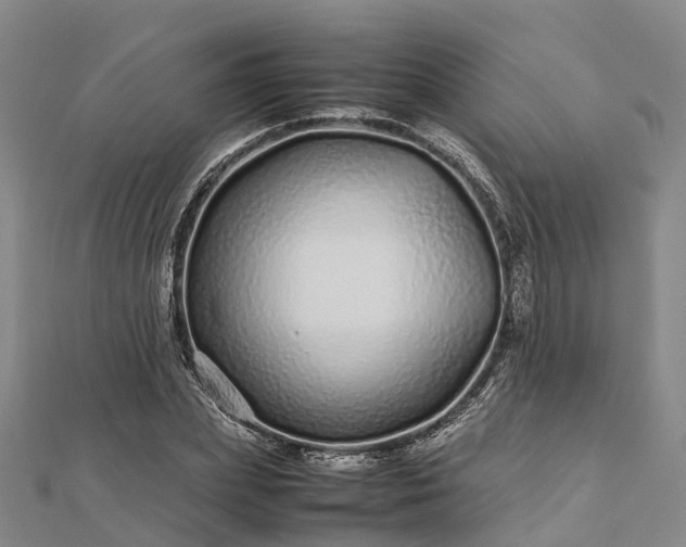 X0000113010831200909031312