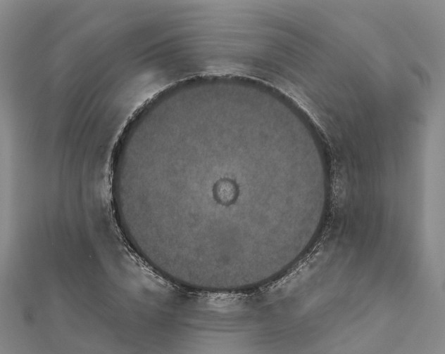 X0000113010832200909031312