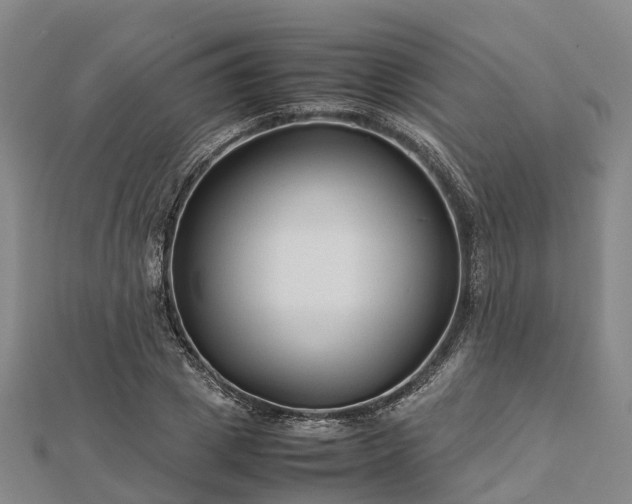 X0000113010833200909031312