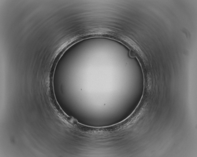 X0000113010834200909031312