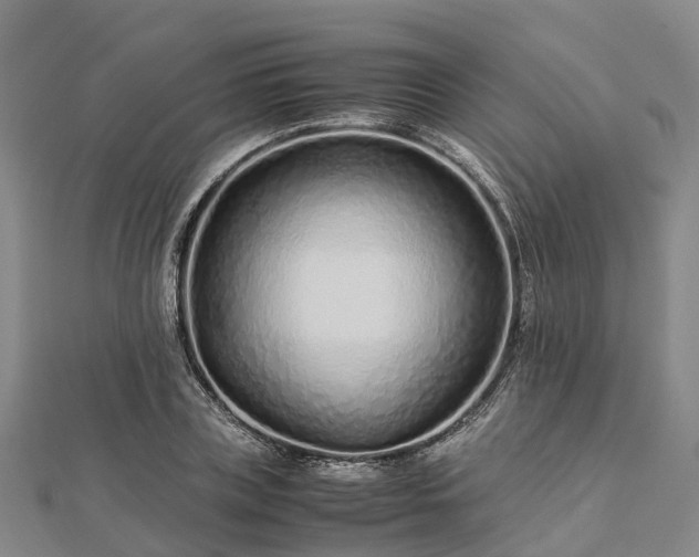 X0000113010835200909031312