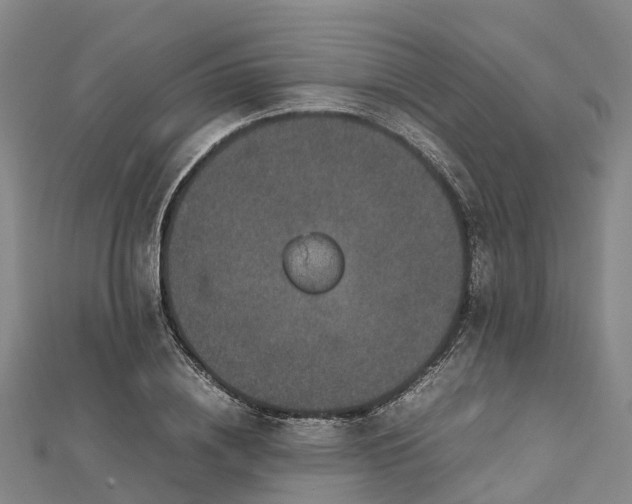 X0000113010836200909031312