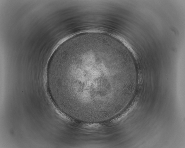 X0000113010837200909031312