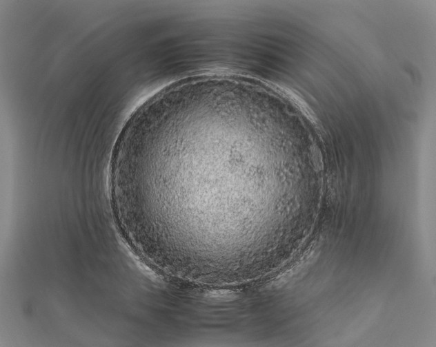 X0000113010839200909031312