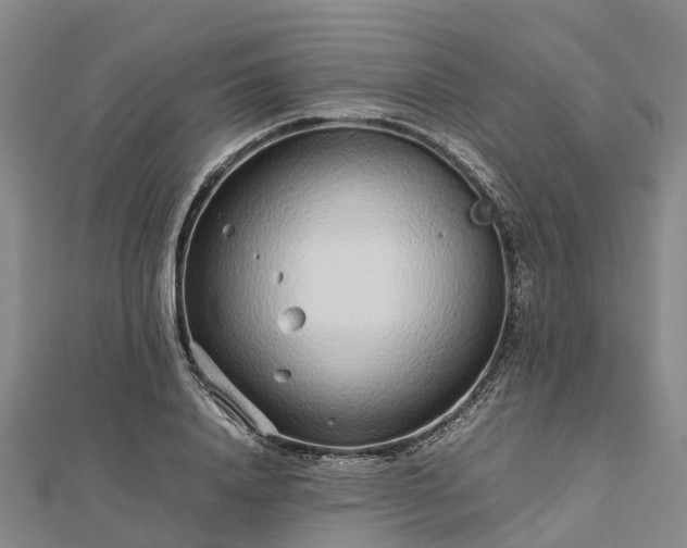 X0000113010840200909031312