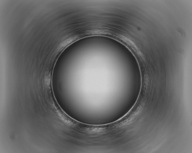 X0000113010841200909031312