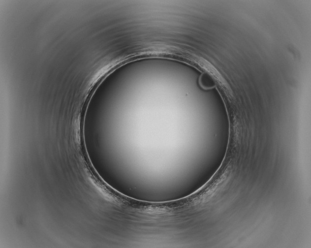 X0000113010842200909031312