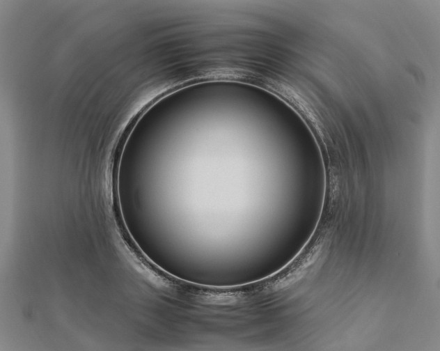 X0000113010843200909031312