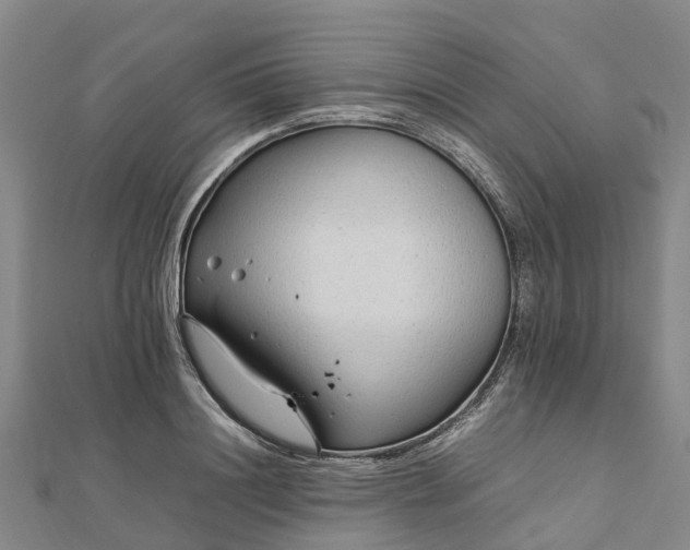 X0000113010844200909031312